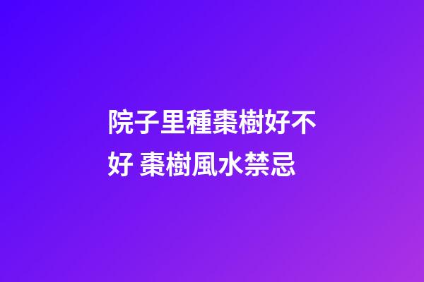 院子里種棗樹好不好 棗樹風水禁忌